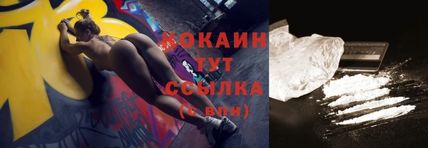 твердый Белая Холуница