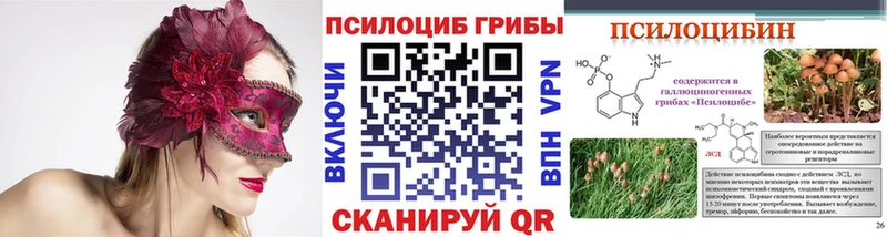 купить   Ялта  MEGA   Галлюциногенные грибы прущие грибы 